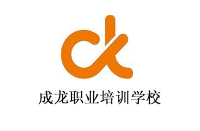 成龙教育
